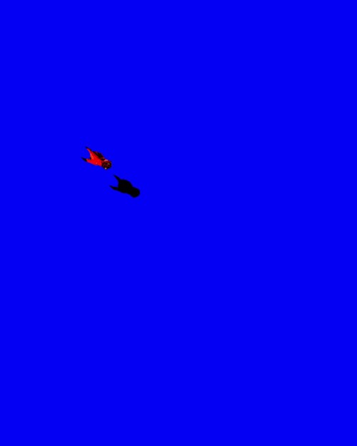 N7j191.mp4