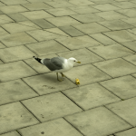 NDyv72