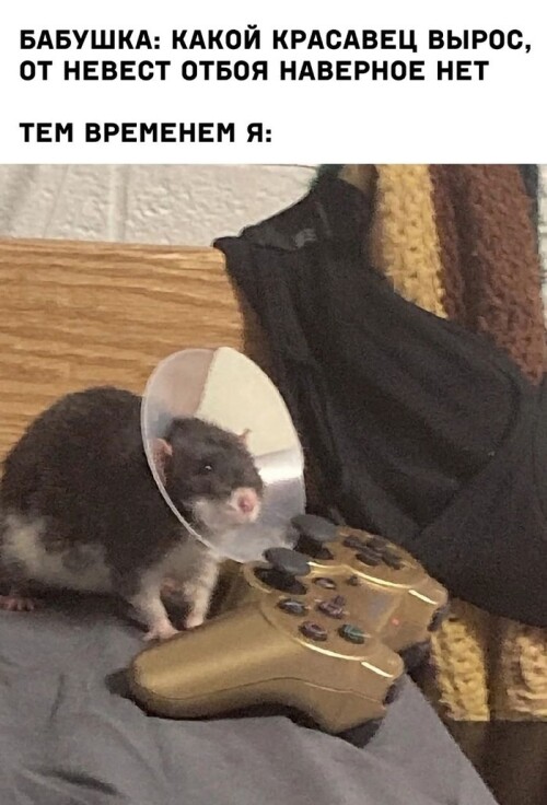 OLvna1.jpeg