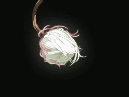 PTEcZx.gif