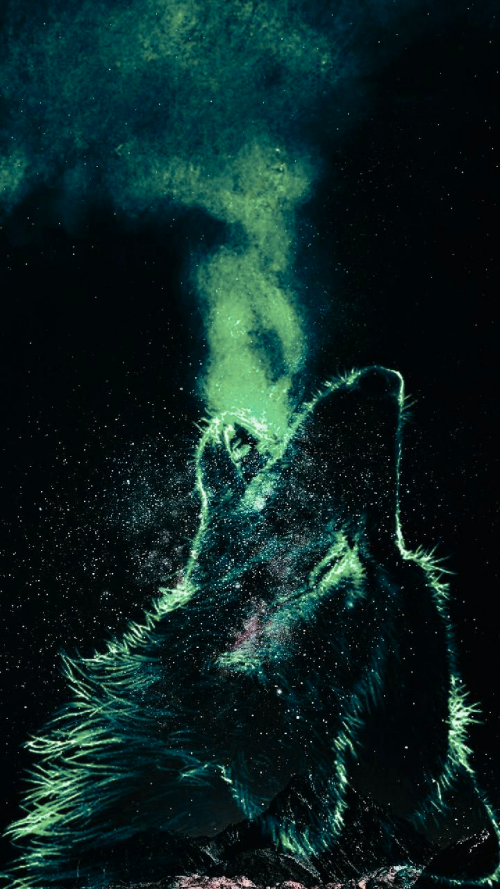 PUxjjK.png