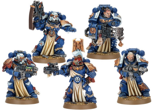 sternguard veteran