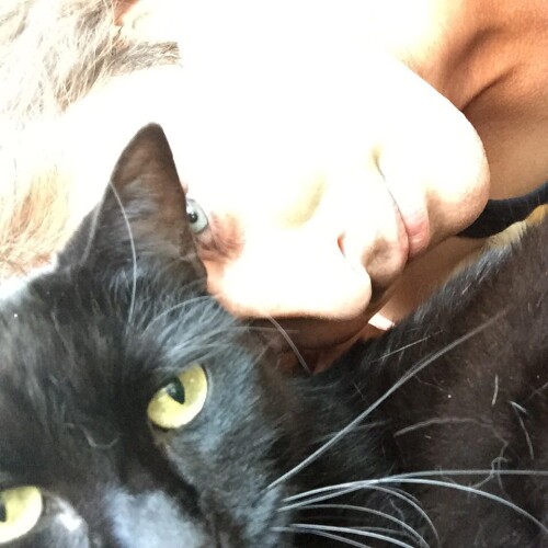 iansomerhalder 11201568 402518136613893 1464392569 n