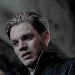 Qy51fC