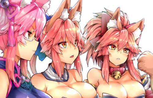  tamamo tamamo no mae tamamo cat koyanskaya tamamo cat and 1 more fate and 2 more drawn by wisespeak