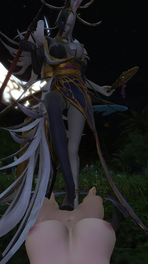 Rvwfb2.jpeg