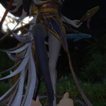 Rvwfb2
