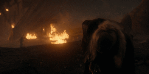 S3ZgBe.gif