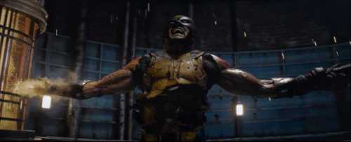 SKI9zv.gif