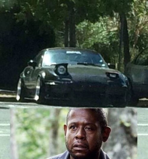 ShKuT7.jpeg