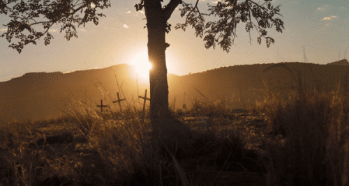 SrZT9c.gif