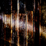 TSJoyC