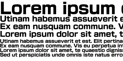 New Rodin font