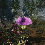 TeVhWm