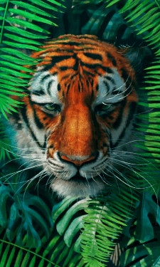 Tk0Xi3.gif