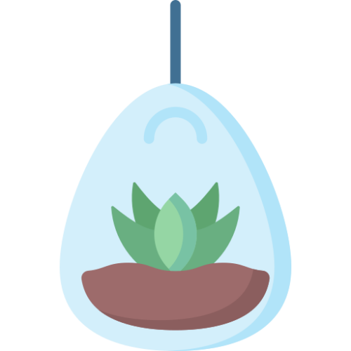 succulent