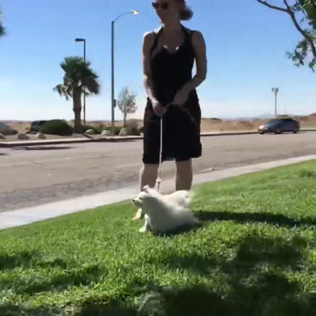 Ua1O5q.webm
