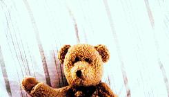 V84oyr.gif