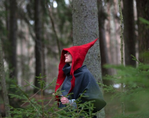gnome hat