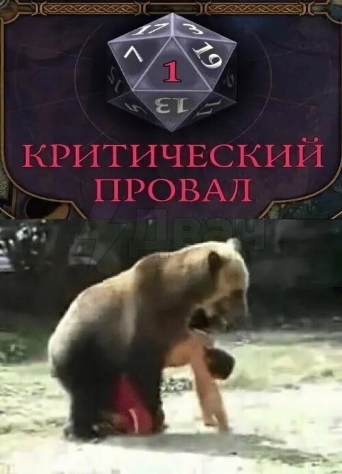 VivBEH.jpeg