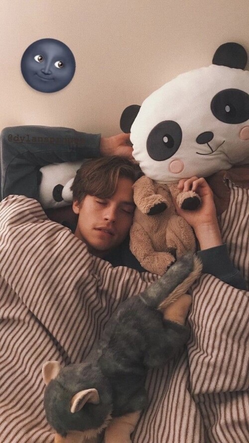 Dylannn discovered by dream hunter on We Heart It