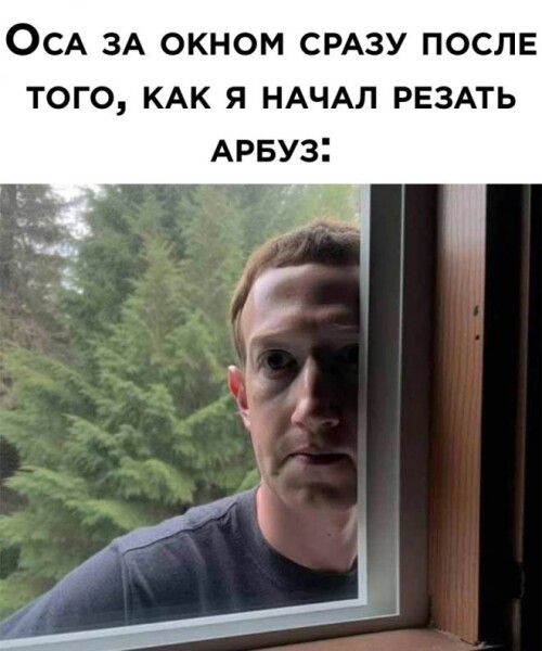 Vs27d9.jpeg