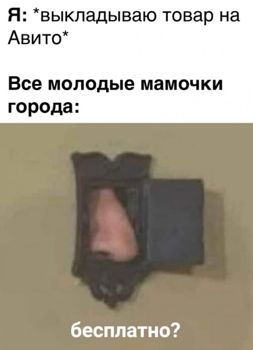 Vs2qlK.jpeg