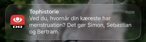 XWSKn9.webp
