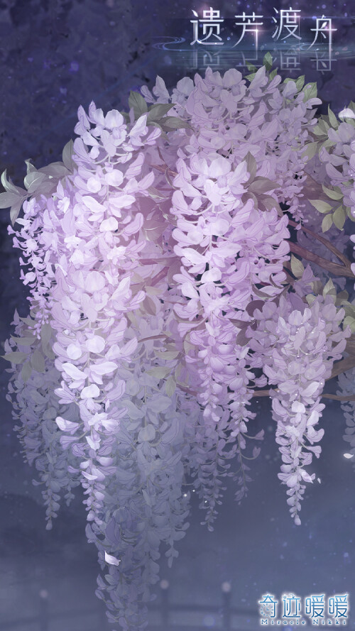 Xc8vX5.jpg