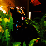XuJgpH