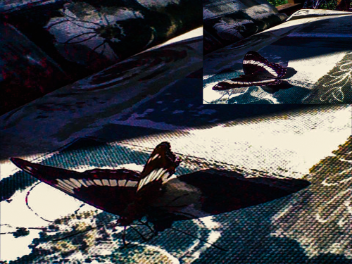 Xz6yCZ.png