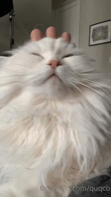 Y9W01v.gif