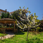 ZteYTq