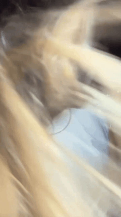 bUGshT.gif