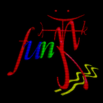 cXSJ11