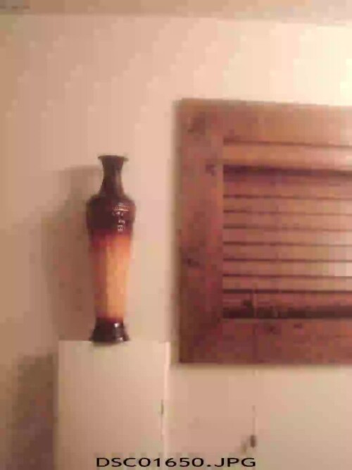 DSC01650