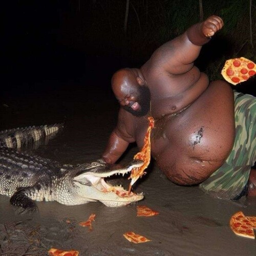 daZOJF.jpeg