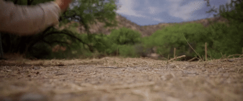 e06Sg0.gif