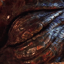 e1HPGK.gif