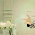 e1rHeQ.gif
