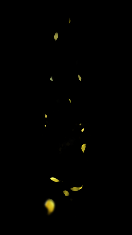 Screenshot 20240910 232216