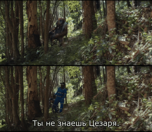 eqAZDa.gif