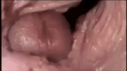fL56fD.gif