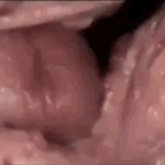 fL56fD