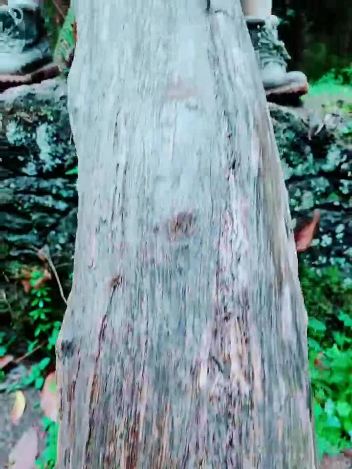 fYdeCc.webm