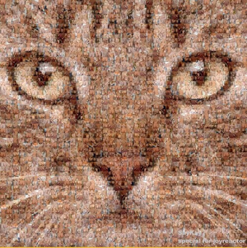 feQY5k.jpg