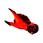 fsjRyT