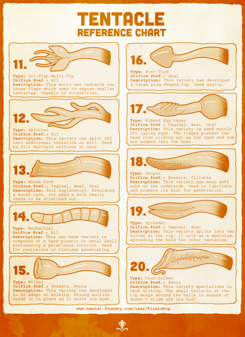 PiratePup 702470 Tentacle Reference Chart 2