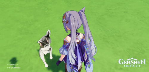 gdePuC.png