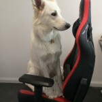 gmMzmi